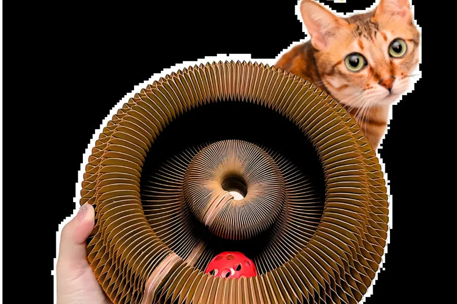 Pelvorant Prey Coil Cat Scratcher