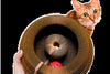 Pelvorant Prey Coil Cat Scratcher