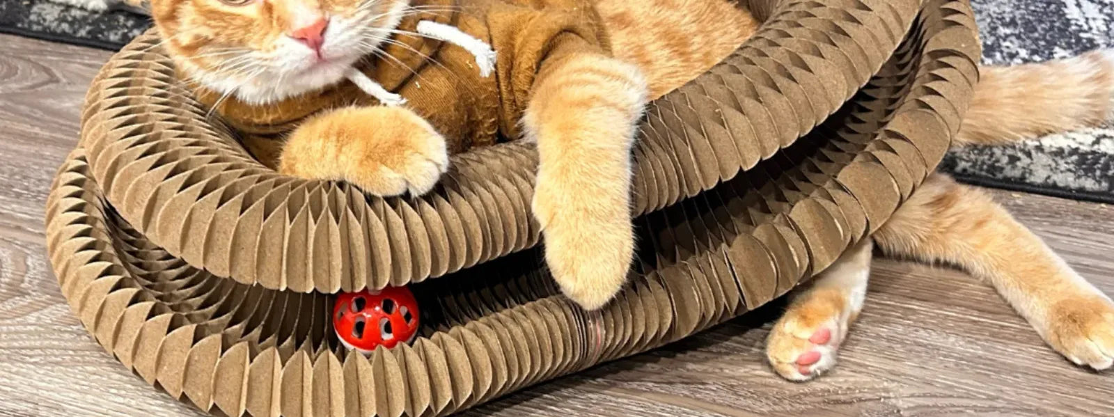 Pelvorant Prey Coil Cat Scratcher