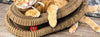 Pelvorant Prey Coil Cat Scratcher