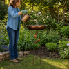 Wrenfield Bird Bath