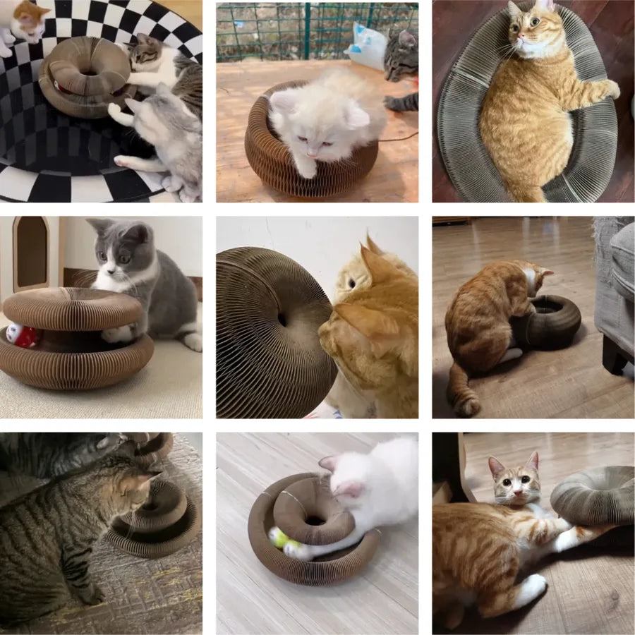 Pelvorant Prey Coil Cat Scratcher