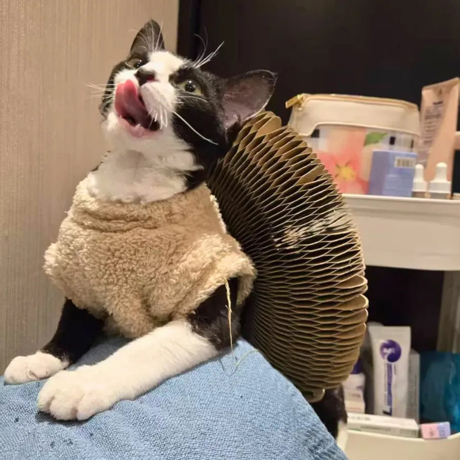 Pelvorant Prey Coil Cat Scratcher
