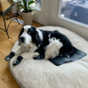 Terrarest Grounding Bed Sheet